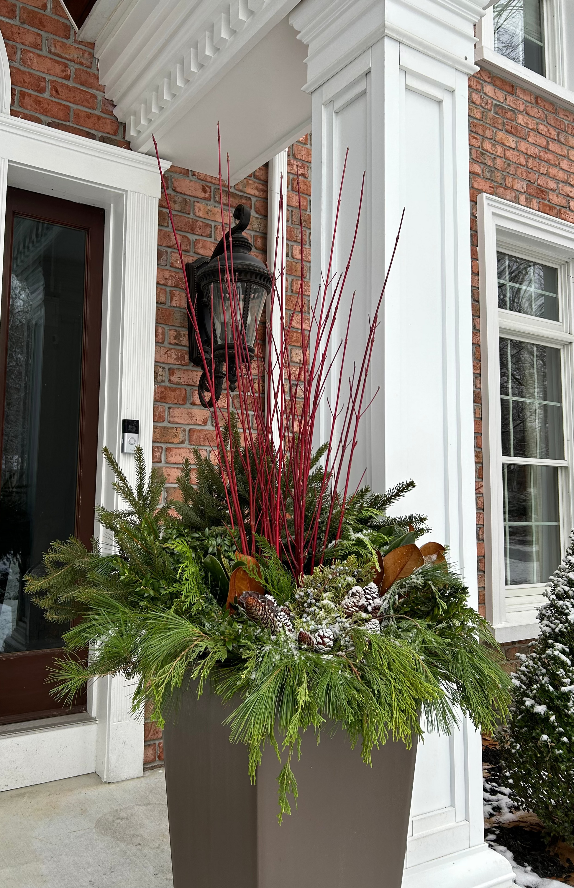 This is a 15 inch square planter with red dogwood branches 
